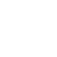 icon1