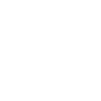 icon2